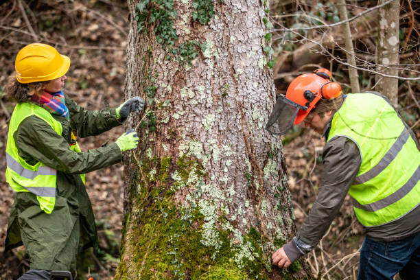 Best Utility Line Clearance  in Xtang, PA